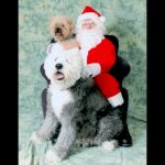 Corey Kiele Santa.jpg