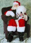 xmas Cody 2008.jpg