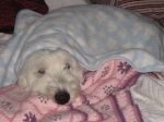 Max (100).JPG