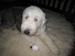 Max (284).JPG