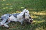 Max (363).JPG