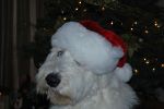 Max (84).JPG