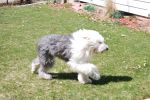 max (139).JPG