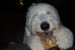 max peanut butter 008.JPG