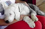 Duncan_s first days at home 008.JPG