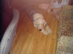 March and April of 2009 038.JPG