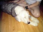 March and April of 2009 045.JPG