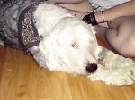 March and April of 2009 046.JPG