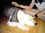 March and April of 2009 054.JPG