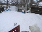 Blizzard 2011 211.jpg