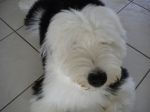 DSCN0008.JPG