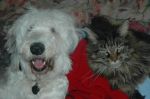 muffin & fred.jpg