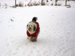 Snow day16.JPG