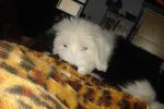 DSC03278.JPG