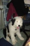 DSC03281.JPG