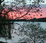 005_edited-1.JPG