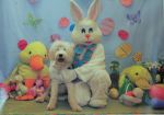 009_edited-1.JPG