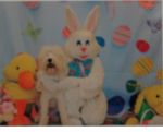 016_edited-1.jpg