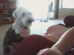 Picture0009.jpg