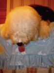 DSC01400.JPG