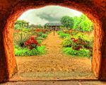 Garden.jpg