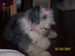 Sophie 006.jpg