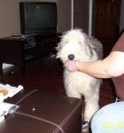 Sophie 017.jpg