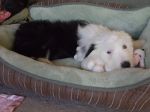 Picture 045.jpg