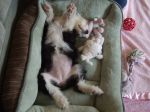 Picture 046.jpg