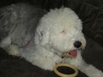 DSC00079.JPG