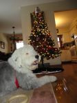 DSC00114.JPG