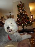 DSC00117.JPG