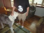 new shirt 001.jpg