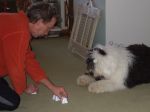 christmas howie 011.jpg