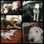 Diptic.jpeg