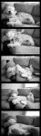 photo strip B&W.jpg