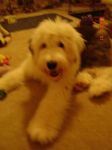 DSC03126.JPG
