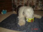 DSC03204.JPG