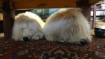 DSC00190.JPG