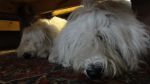 DSC00192~0.JPG