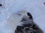 DSC00211.JPG