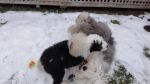 DSC00425.JPG