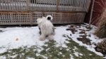 DSC00427.JPG