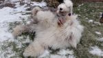 DSC00441.JPG