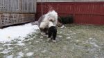 DSC00450.JPG
