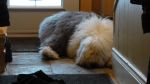 DSC00462.JPG