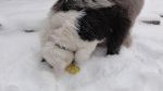 DSC00486.JPG