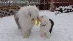 DSC00492.JPG
