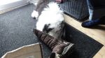 DSC00521.JPG