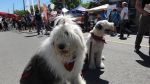 DSC00585.JPG